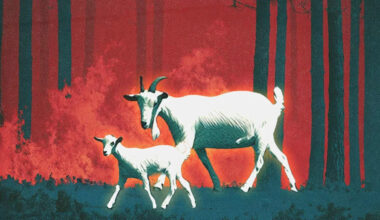 California's War on Goats Could Worsen the Wildfire Crisis (opinion)