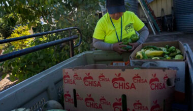 Did you know the California State Fair has a farm? Here’s where the harvest goes