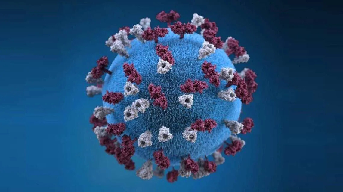 Measles cases in California already double 2025 totals. Here’s what to know