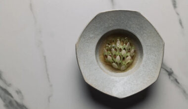 The 38 Best Restaurants in San Francisco