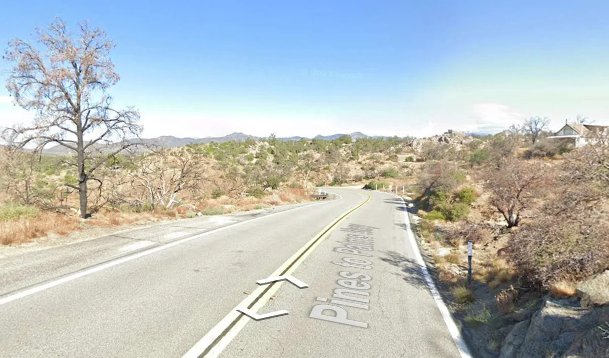 Remains of murdered California millionaire, killed by con man, identified