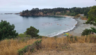 Driver falls 150 feet and crashes on California state beach