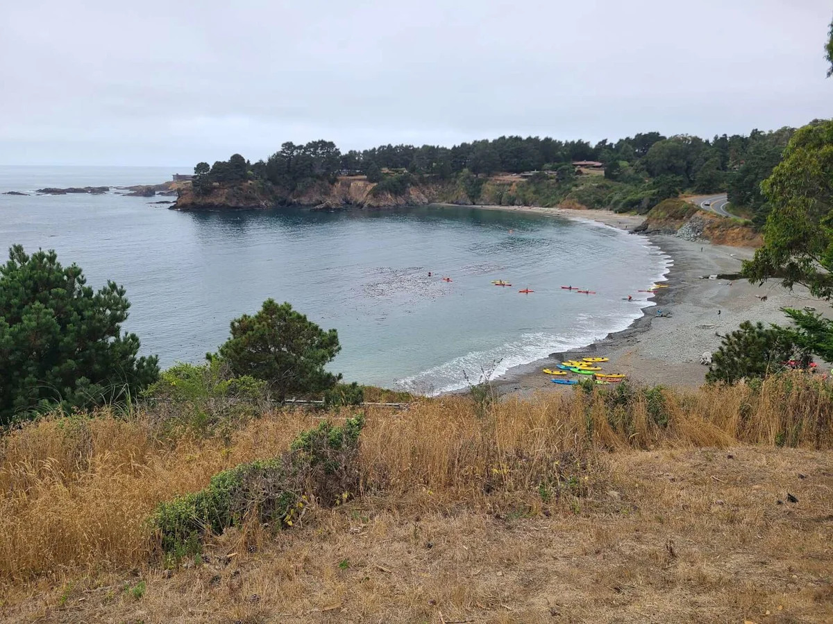 Driver falls 150 feet and crashes on California state beach