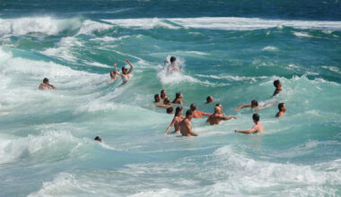 San Diego Lifeguards Made 107 Rescues at Windansea in One Day — Over 3,000 Since June 1