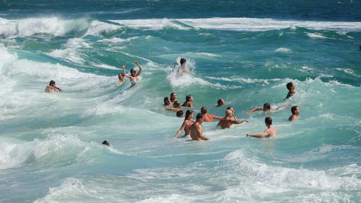 San Diego Lifeguards Made 107 Rescues at Windansea in One Day — Over 3,000 Since June 1