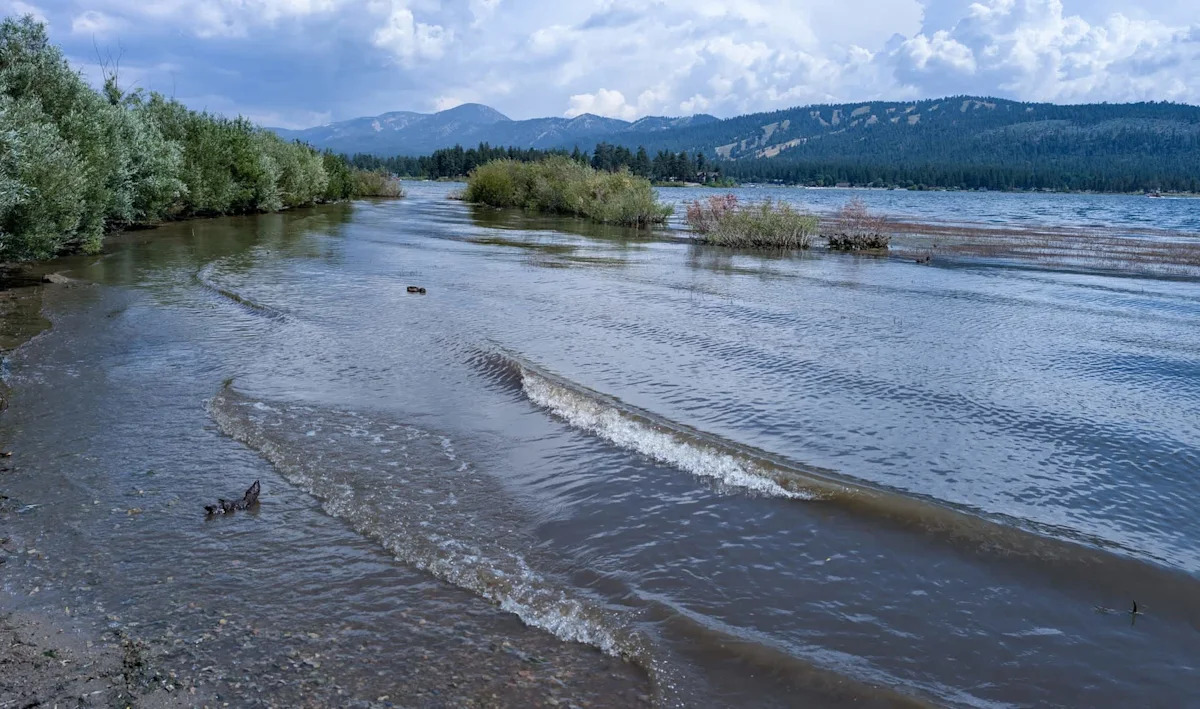 California groups race to buy Big Bear Lake's last undeveloped shoreline for Jackie and Shadow