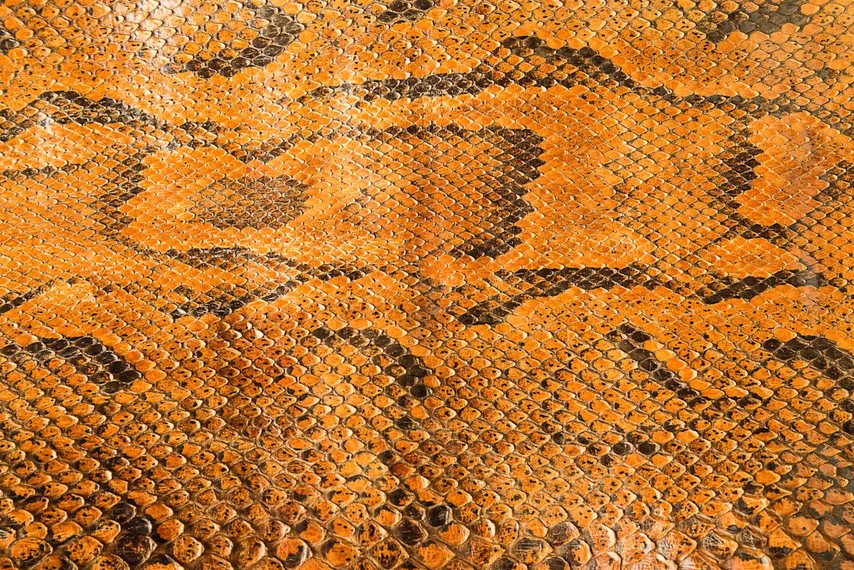 California police seize 85 pairs of python-skin boots from a downtown western wear store