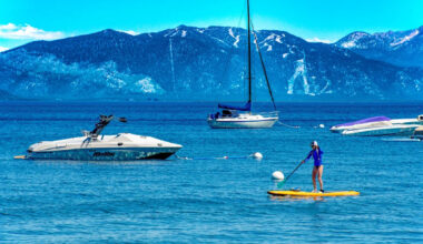California confirms invasive golden mussel farther north, with Lake Tahoe now at risk