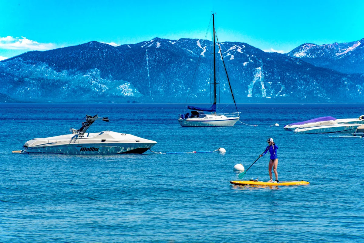 California confirms invasive golden mussel farther north, with Lake Tahoe now at risk
