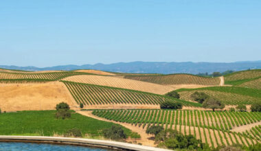 California wine map could flip as Napa, Sonoma fade, and coastal regions surge