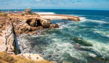 San Diego wants to spray La Jolla Cove's stinking cliffs, and critics fear for sea lions