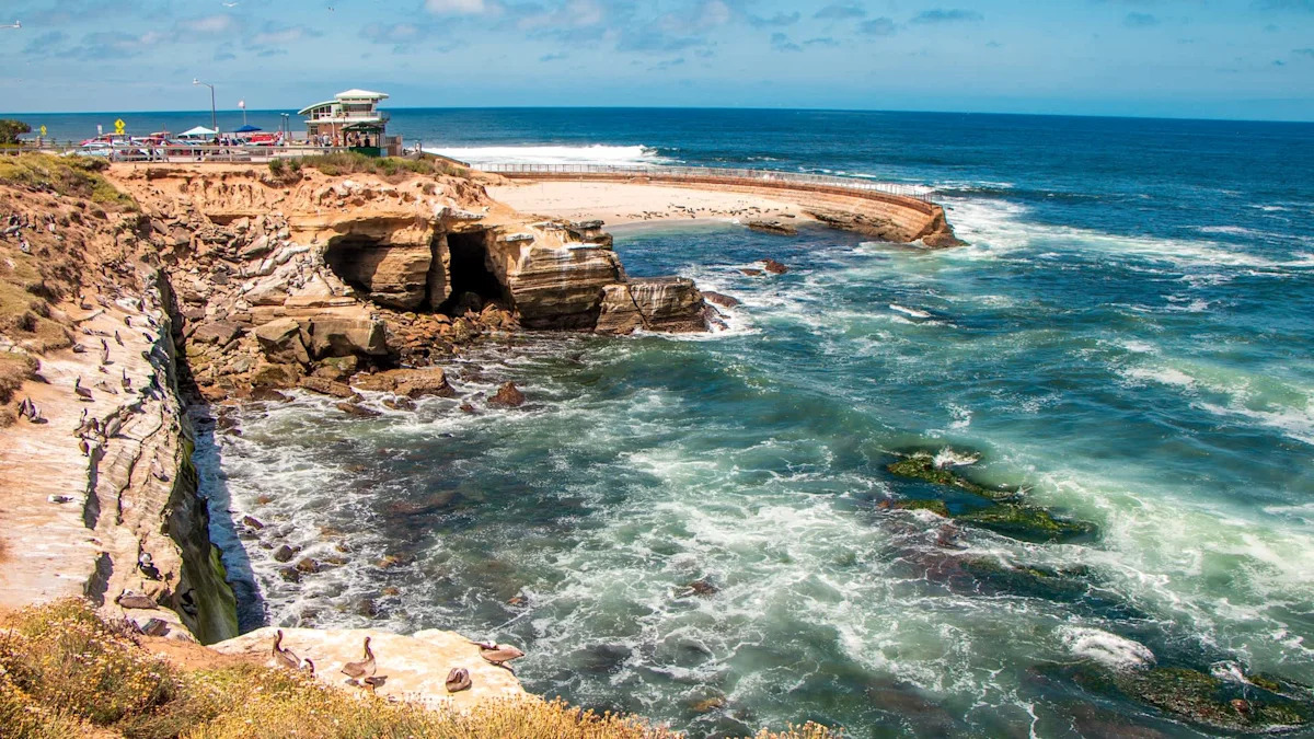 San Diego wants to spray La Jolla Cove's stinking cliffs, and critics fear for sea lions