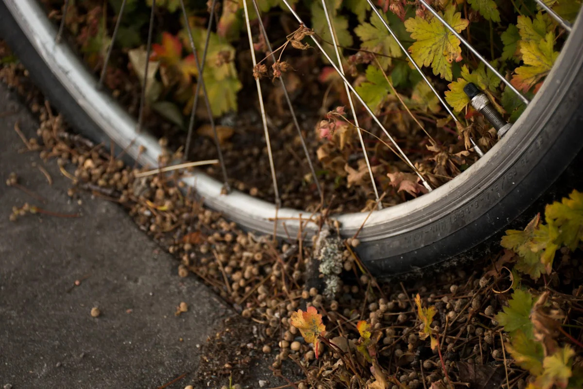 Rare California rattlesnake bite kills cyclist after fall off an Orange County trail