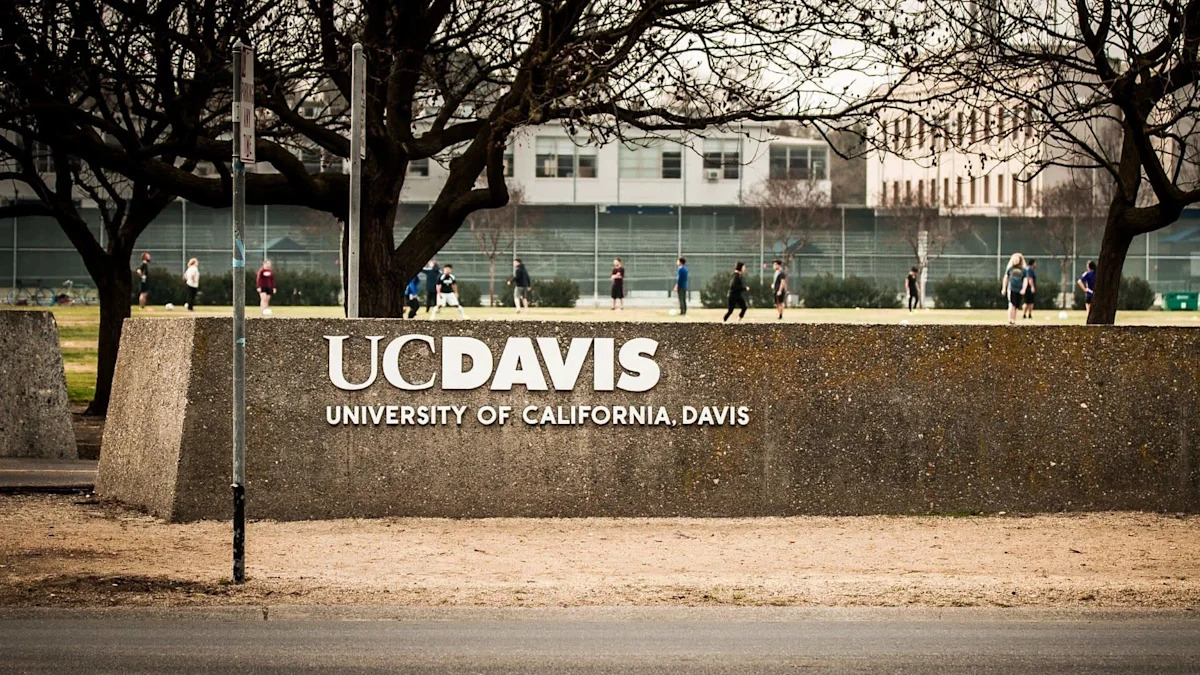 Federal citations renew scrutiny of California's UC Davis primate lab