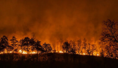 A California fire survivor group urged lawmakers to act, then survivors learned utilities funded it