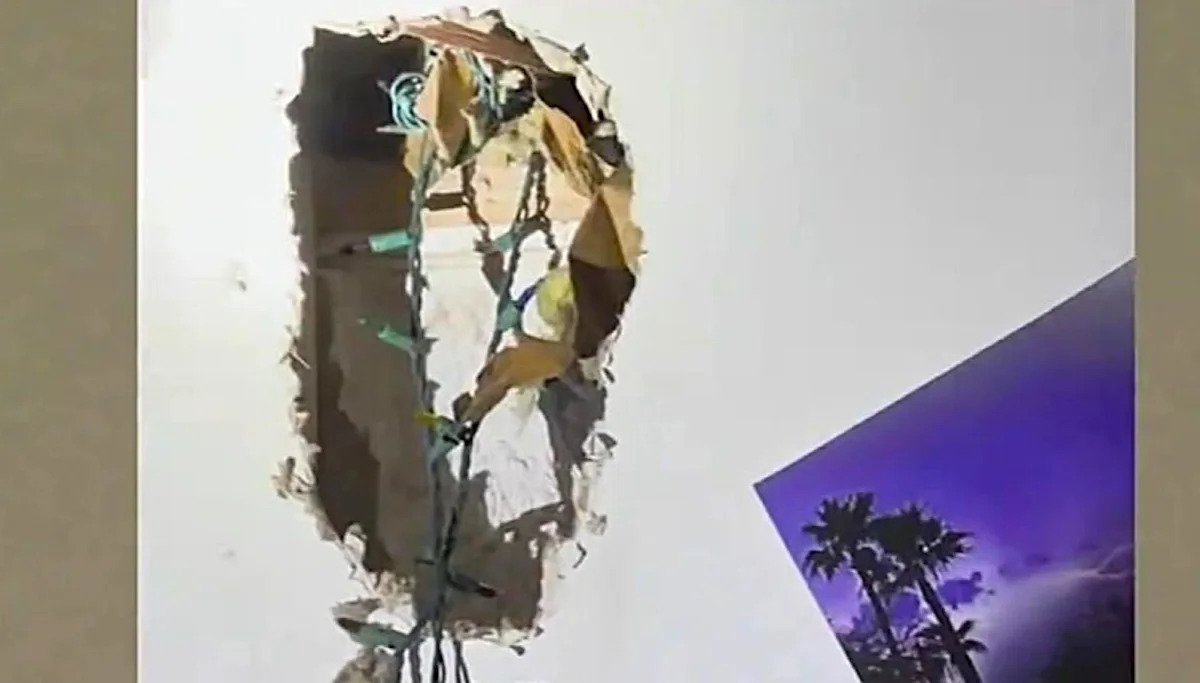 San Francisco roommates hear scratching in walls, then a raccoon breaks into the bedroom