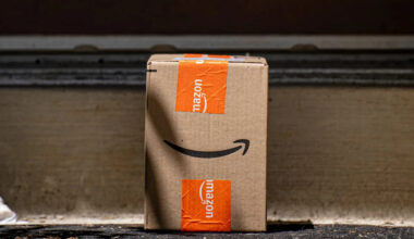 California 3-year-old reaches for Amazon package, then hidden rattlesnake bites her hand