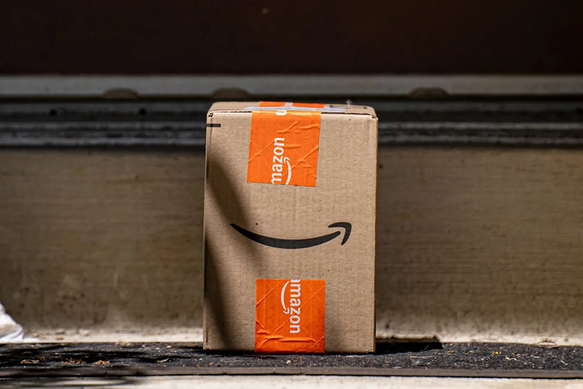 California 3-year-old reaches for Amazon package, then hidden rattlesnake bites her hand