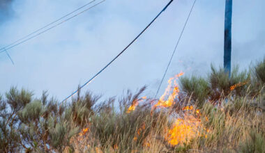 California outage hit 11,000, leaves 3,700 without power amid nearby vegetation fire