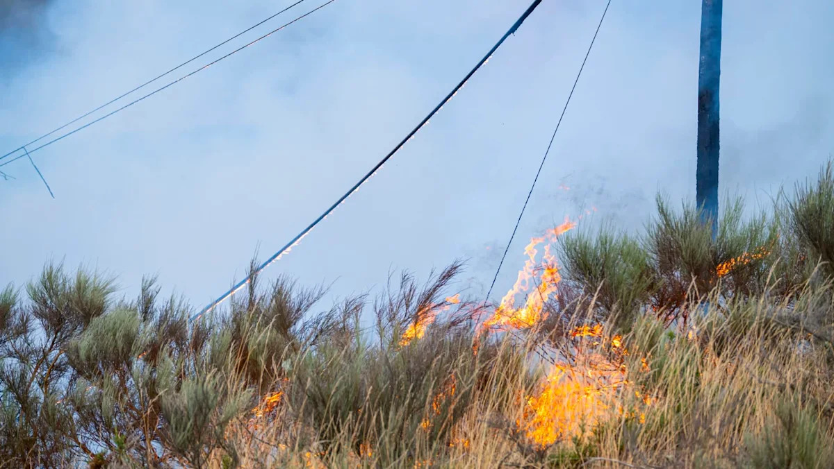 California outage hit 11,000, leaves 3,700 without power amid nearby vegetation fire