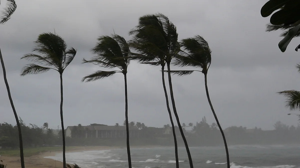Hawai'i braces as Category 2 Hurricane Fausto approaches, and Southern California faces surf risk