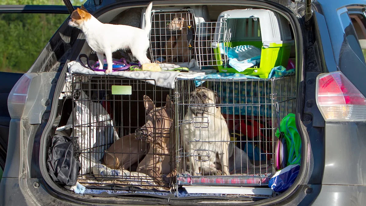 California woman claimed rescue charity, then 14 dogs were found caged in her hot car