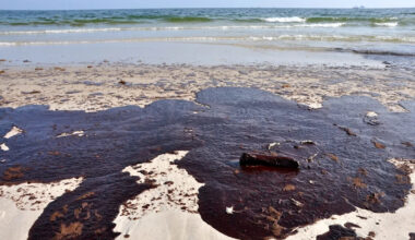 California beach alert follows crude-oil clumps that left surfer 'head to toe' in oil