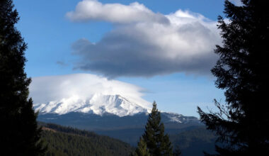 US Forest Service workers held hostage at gunpoint in California forest for hours