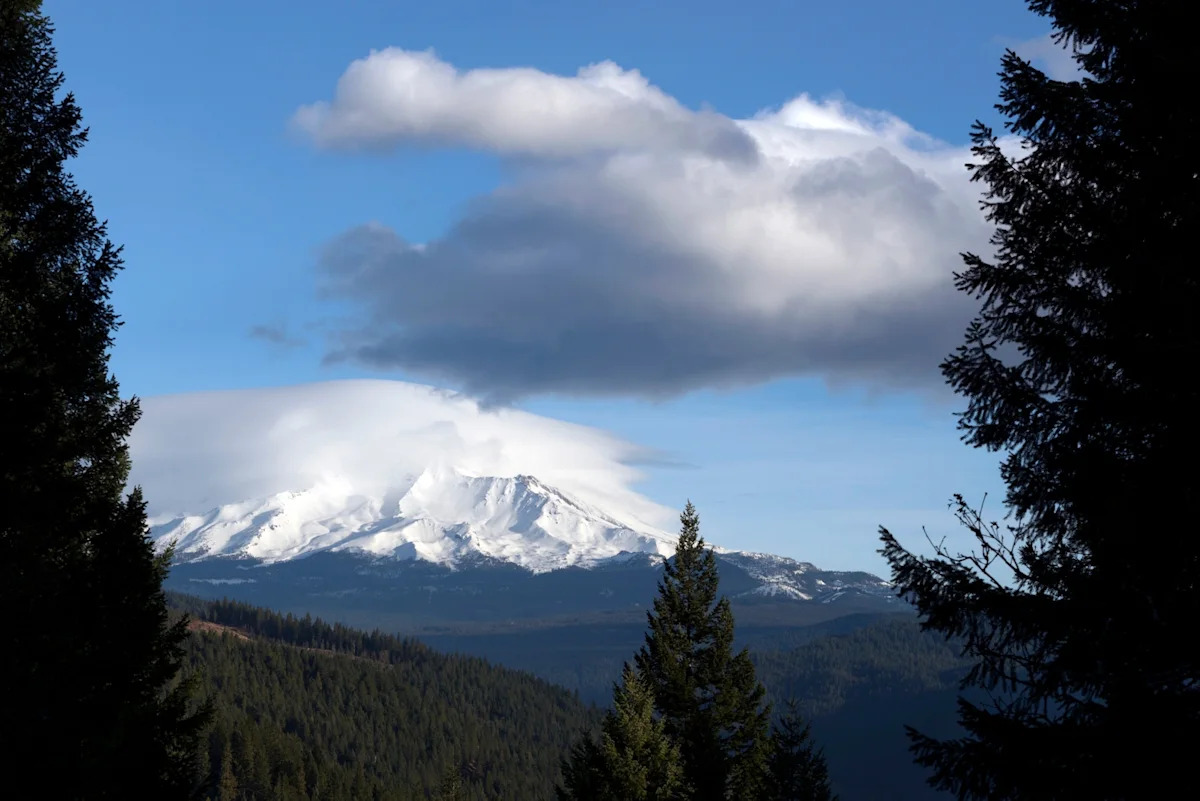 US Forest Service workers held hostage at gunpoint in California forest for hours