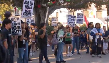 ‘ICE Out’ protest held in downtown LA in wake of 2 deadly shootings – NBC Los Angeles