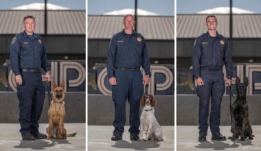 CHP welcomes 6 new K-9s to its team – NBC Los Angeles