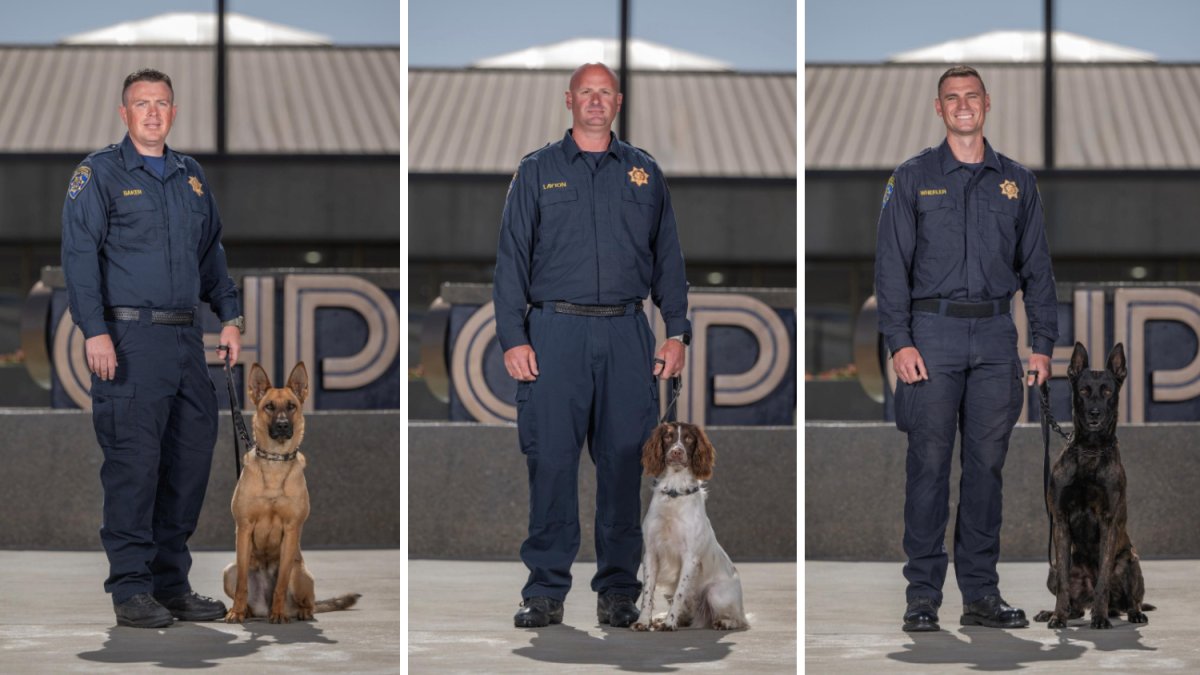 CHP welcomes 6 new K-9s to its team – NBC Los Angeles