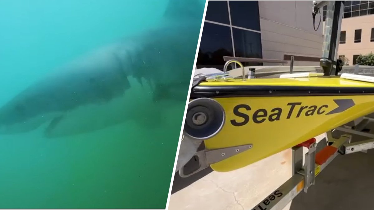 Solar-powered drone to monitor sharks during LA Olympics – NBC Los Angeles