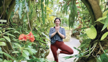 Rejuvenate at Golden Gate Park This Summer With Yoga, Forest Bathing, Opera, and More - San Francisco Bay Times