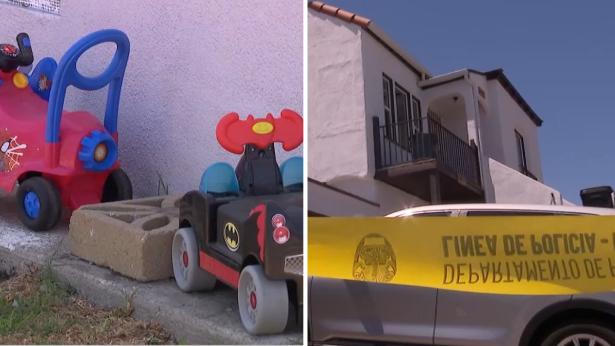Dead twin toddlers’ aunt questions overdose claims in South LA – NBC Los Angeles