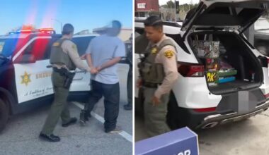 LA’s undercover operations nab illegal fireworks sellers – NBC Los Angeles