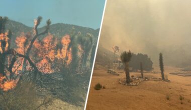 Summer Fire prompts evacuation orders near Llano, LA County – NBC Los Angeles