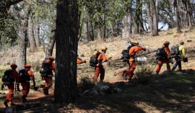 Bill aims to end barriers to hiring incarcerated firefighters