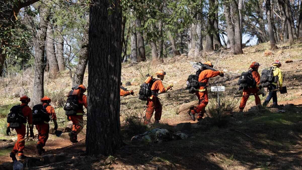 Inmates walk to a training area to cut logs at the Growlersburg Conservation Camp near Georgetown in 2024. The facility, built in the 1960s, trains and houses non-violent inmates to be deployed to wildfires and other natural disasters. Inmates walk to a training area to cut logs at the Growlersburg Conservation Camp near Georgetown in 2024. The facility, built in the 1960s, trains and houses non-violent inmates to be deployed to wildfires and other natural disasters.
