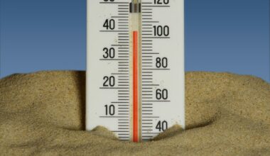 A week in the heat – The Oakland Post