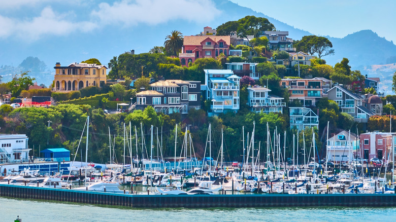 A view of Tiburon, California's Corinthian Yacht Club and exclusive homes on the hill beyond