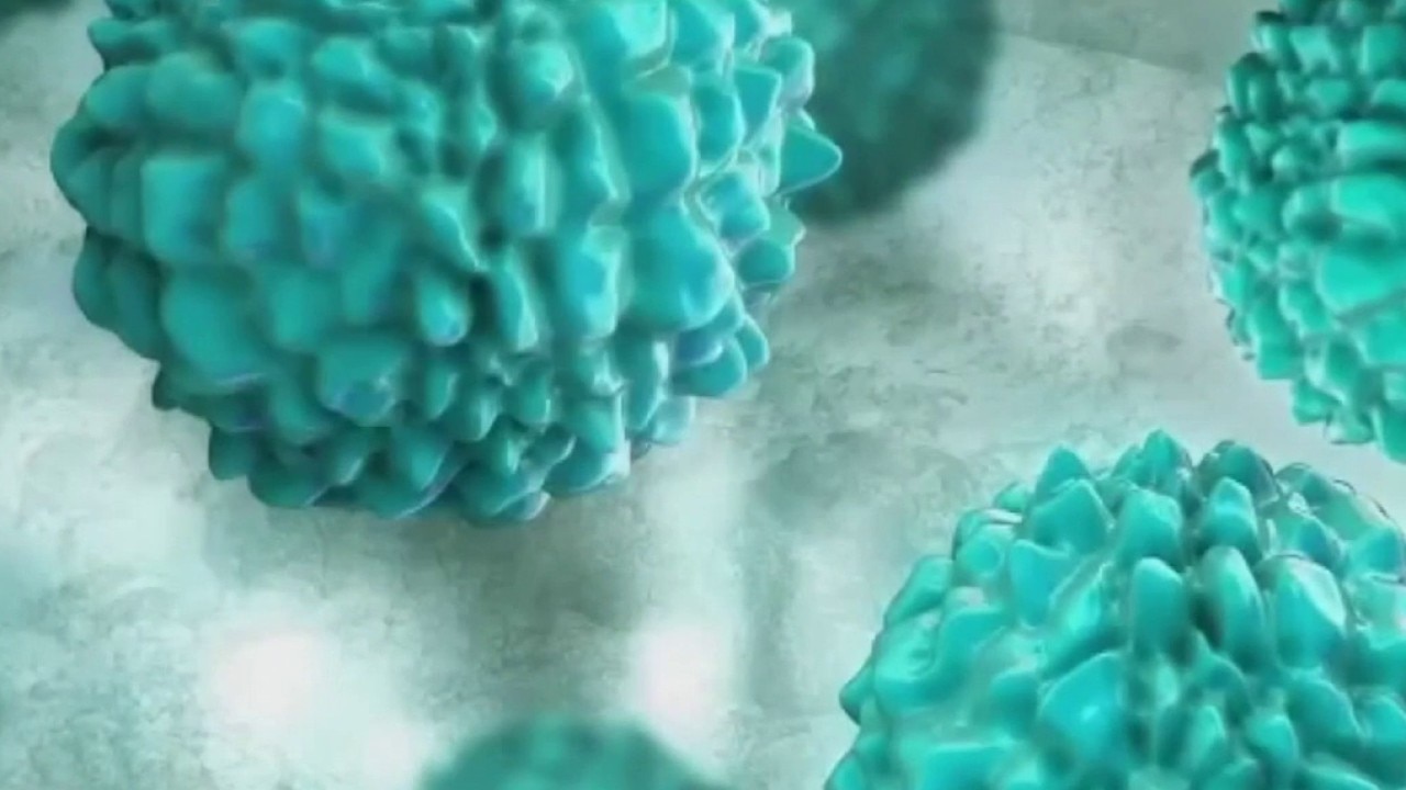 Parasite causing major stomach symptoms