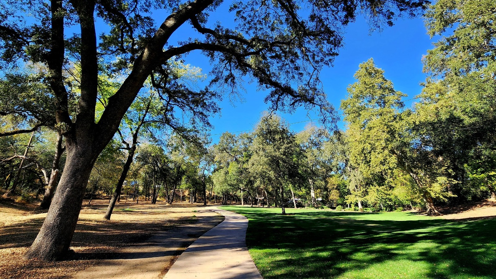 California's Thriving Sacramento Suburb Has Beautiful Parks, A Botanical Garden, And Friendly Vibes