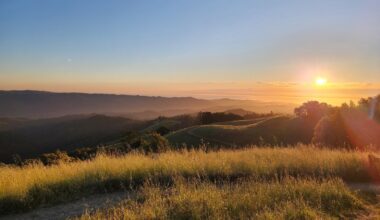 California's Hilly Nature Preserve An Hour From San Francisco Has A Scenic Trail Through Mountains And Forests