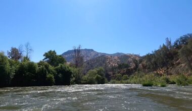 Over An Hour From Sacramento Is California's Pretty, Flower-Filled Park For Fun Paddling, Fishing, And Hiking