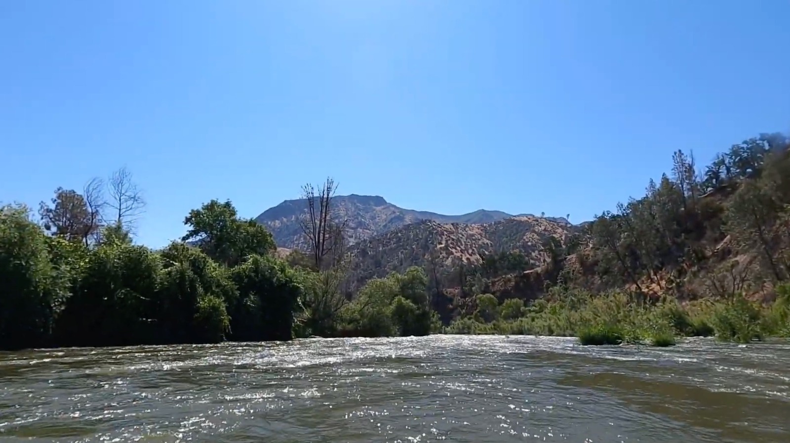 Over An Hour From Sacramento Is California's Pretty, Flower-Filled Park For Fun Paddling, Fishing, And Hiking