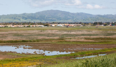 Between Sacramento And San Francisco Is An Underrated County For Family-Friendly Outings And Outdoor Fun