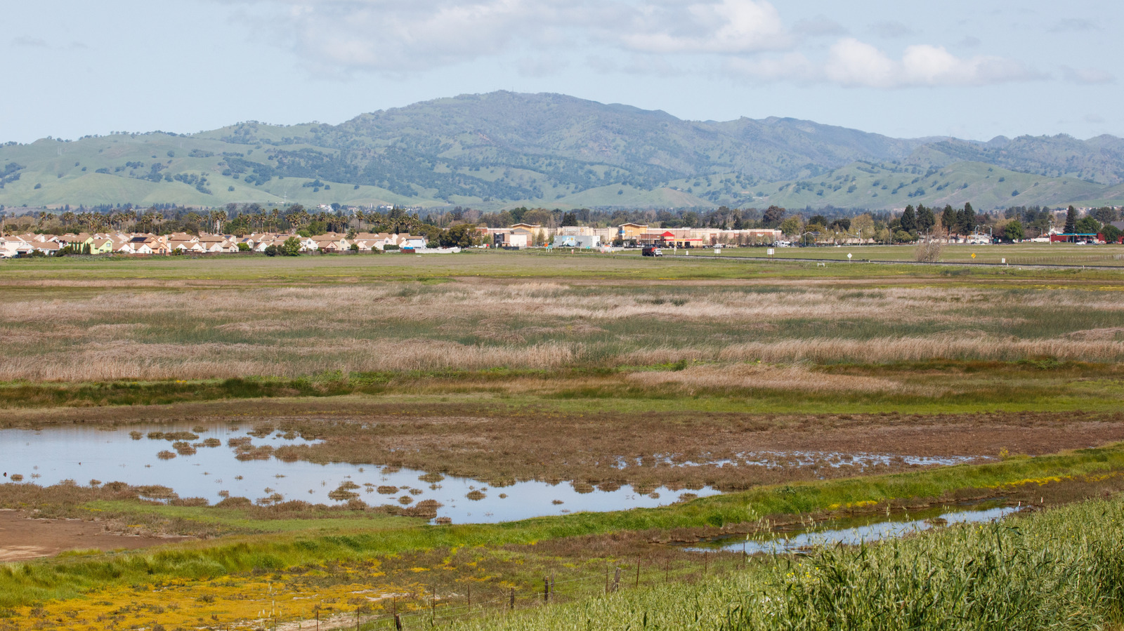 Between Sacramento And San Francisco Is An Underrated County For Family-Friendly Outings And Outdoor Fun