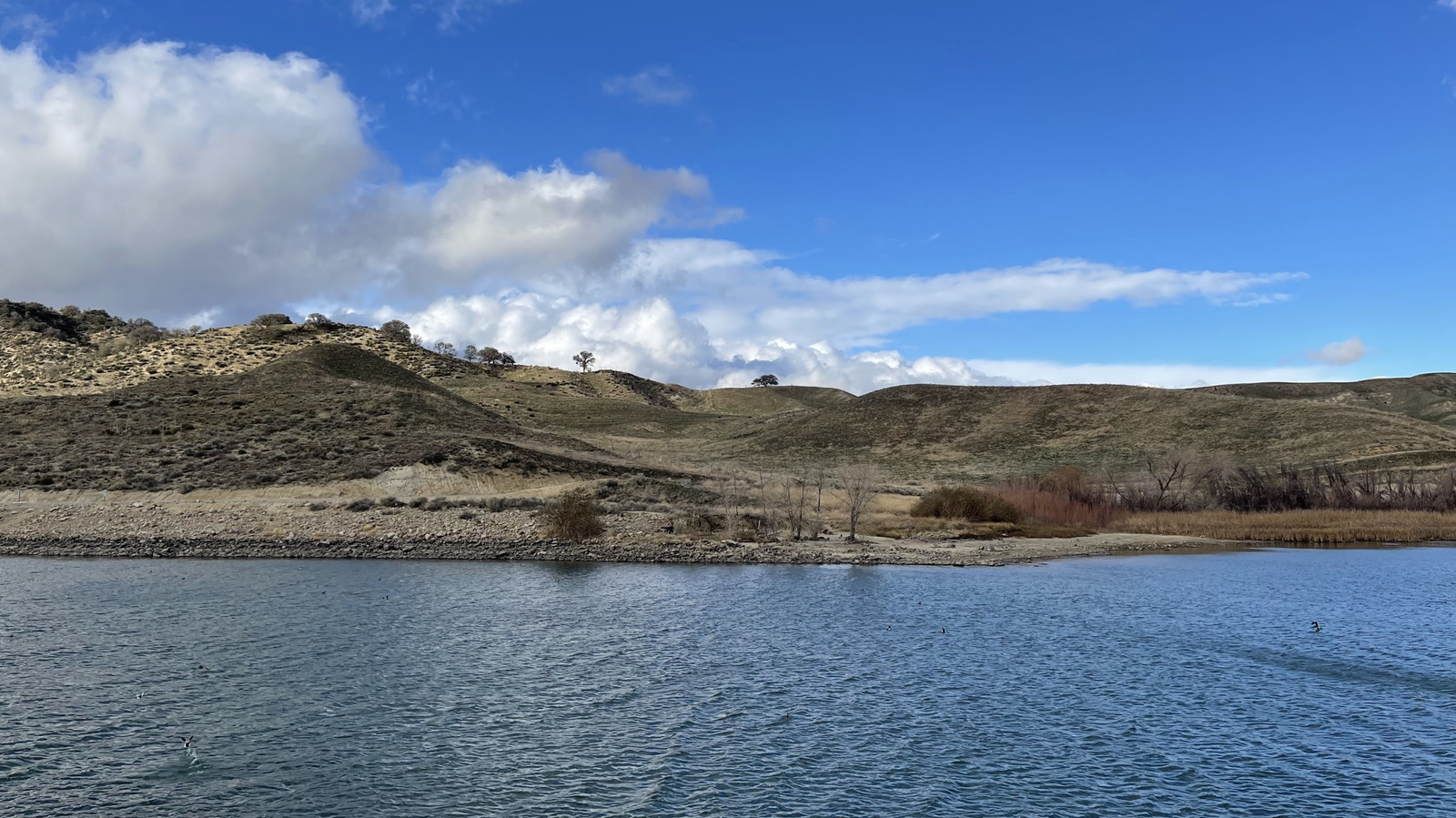 Sandwiched Between Bakersfield And LA Is An Underrated Recreation Area For Lake Views, Fishing, And Few Crowds