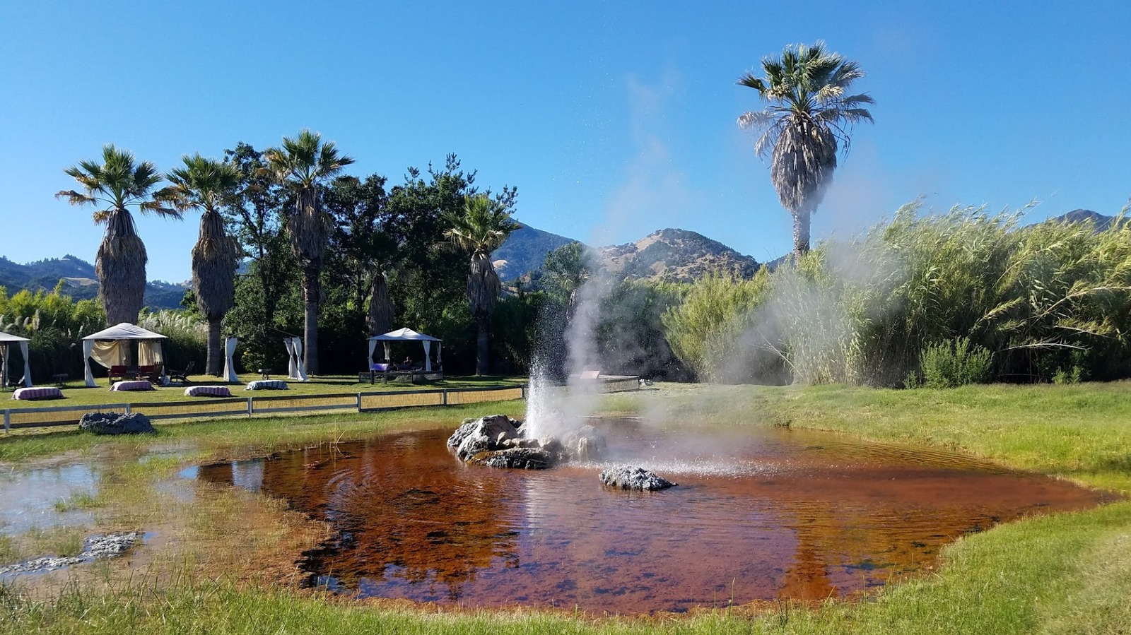 Forget Yellowstone, Visit California's Own Rare Geyser Escape With Lounge Areas, A Scenic Walk, And Farm Animals